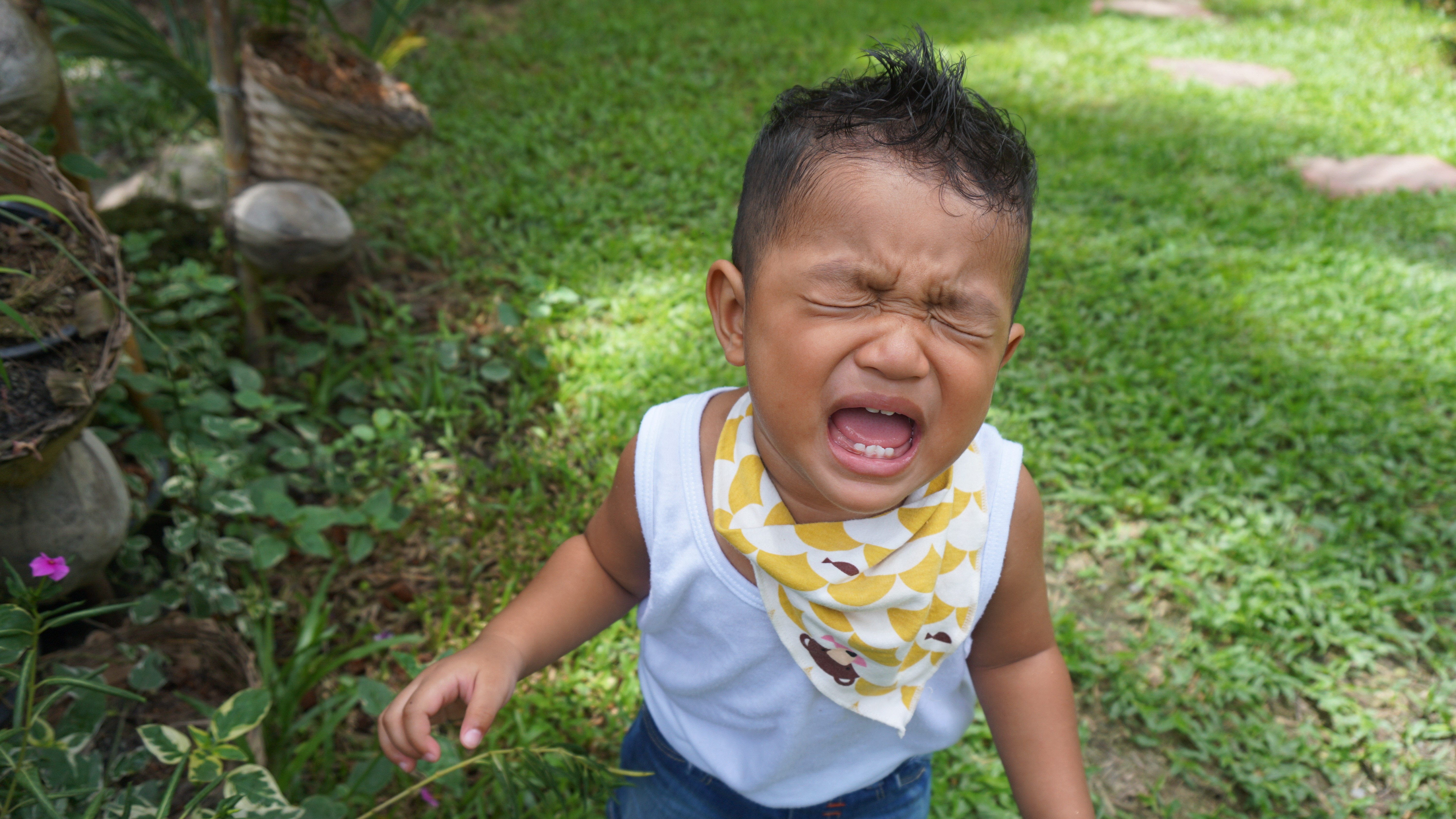 amarah anak 2 tahun, fase terrible twos, tips mengatasi tantrum, perkembangan anak 2 tahun, Bunda, si Kecil